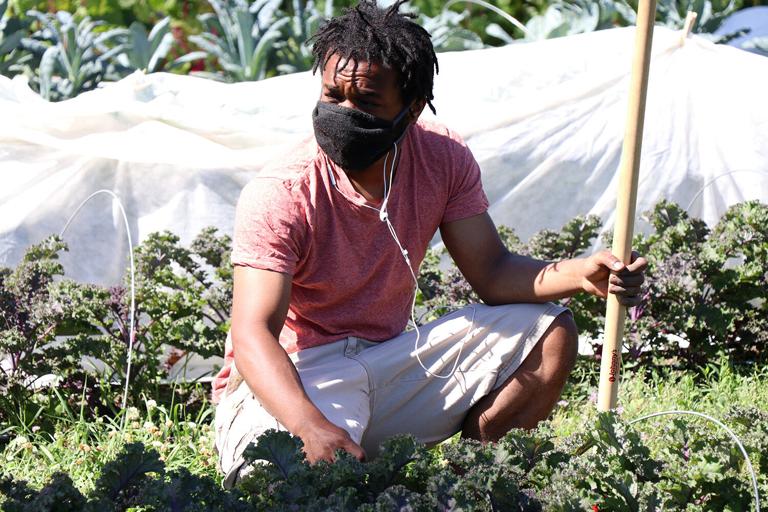 One farmer